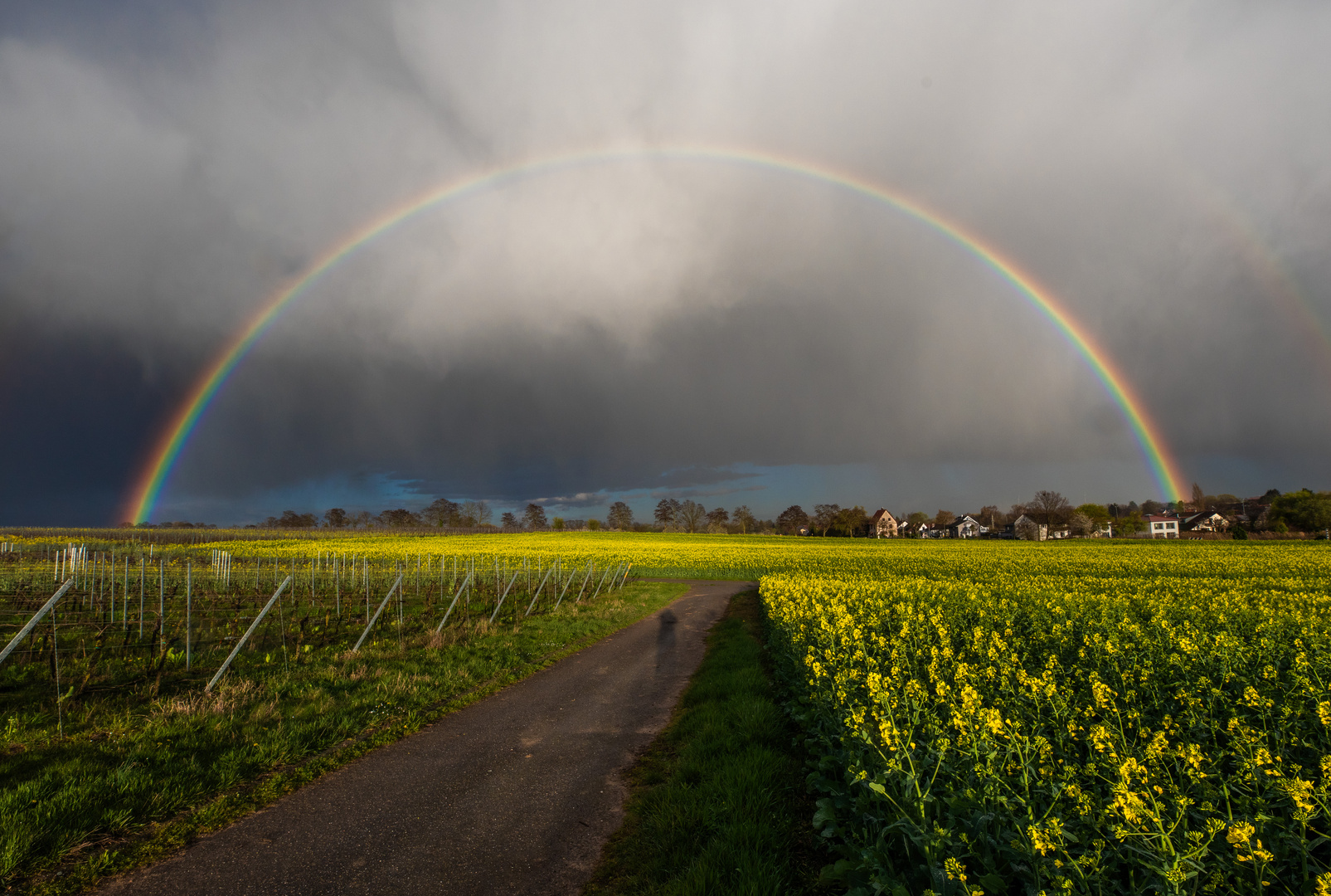 Arc en ciel