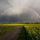 Arc en ciel