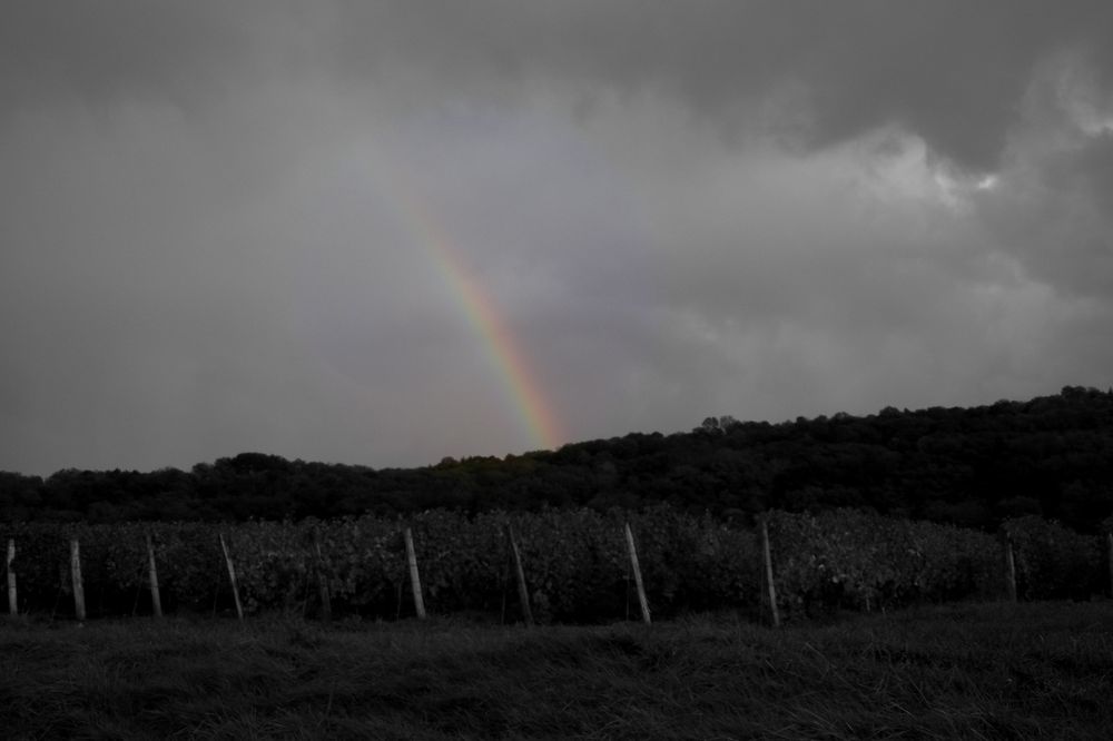 ARC EN CIEL