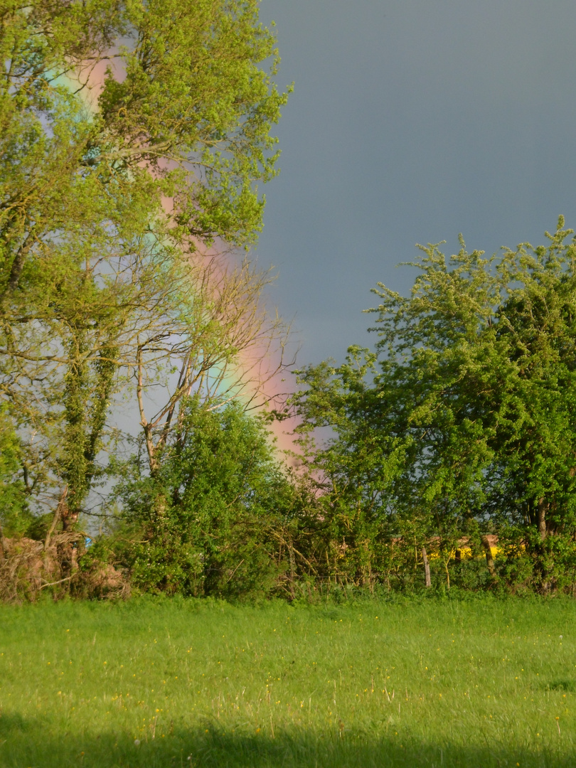 ARC EN CIEL