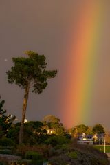 Arc en ciel