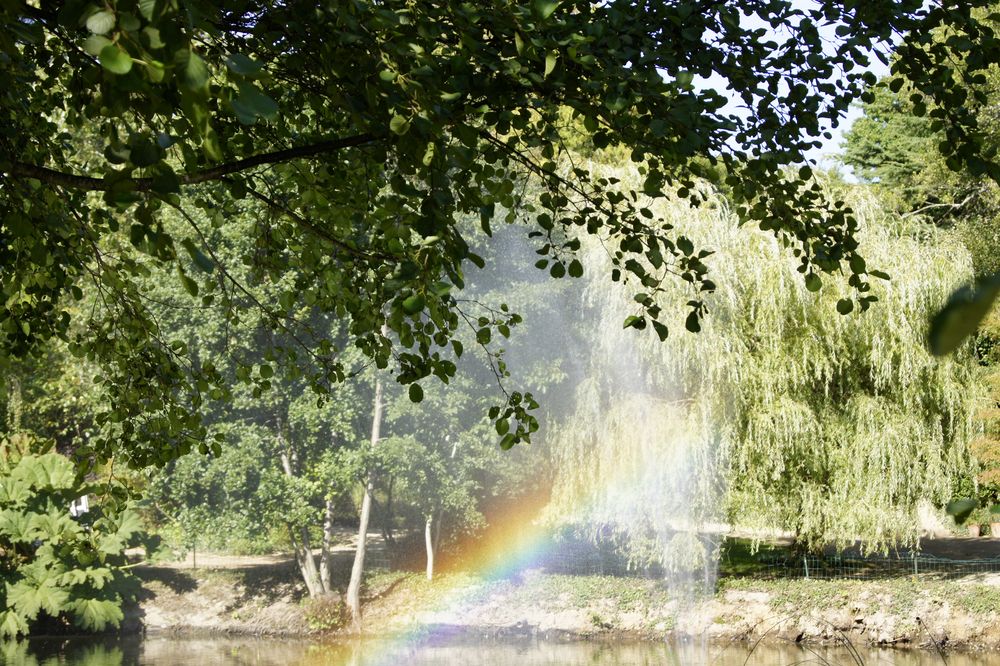 Arc en ciel de ZIHA 