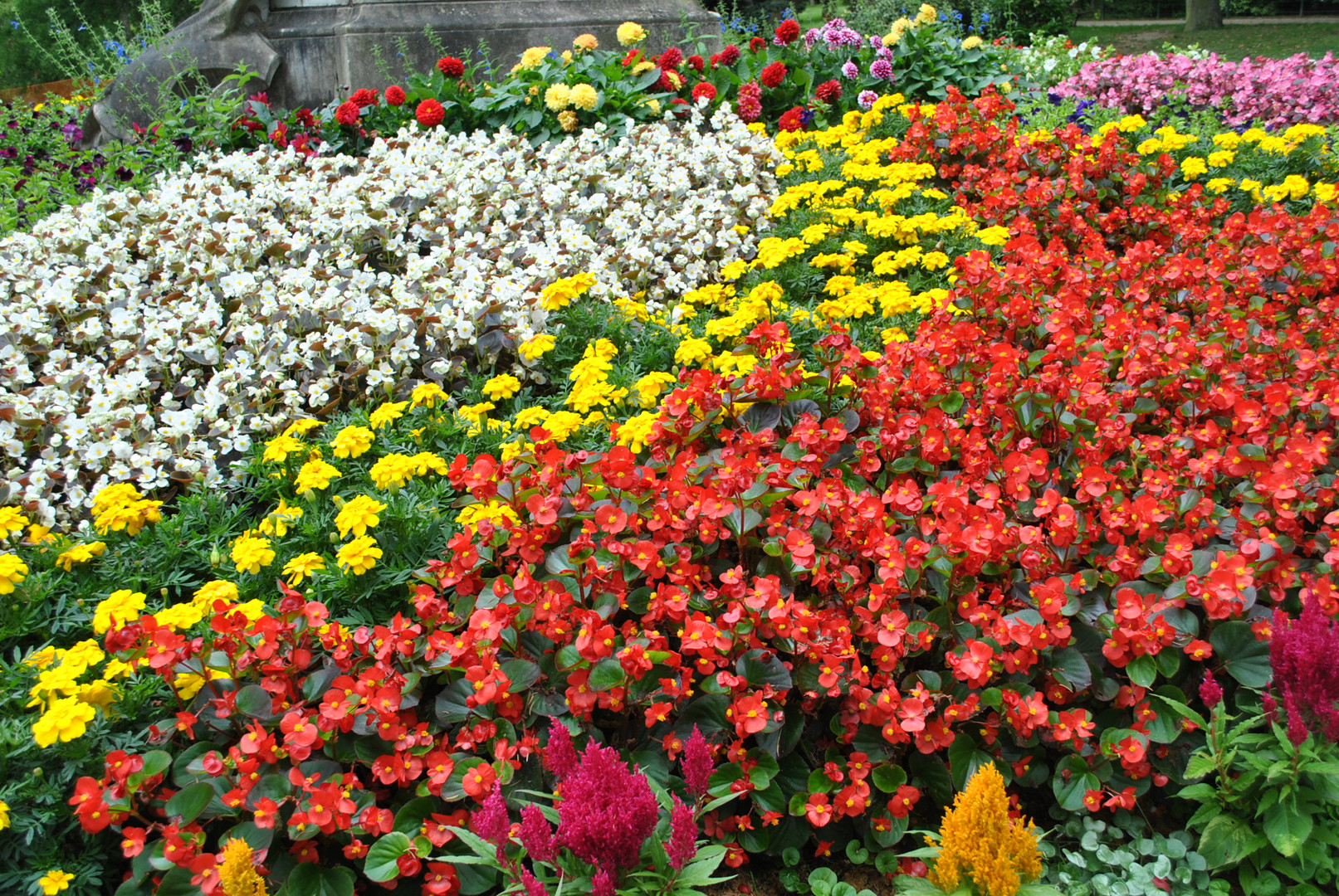 Arc en ciel de fleurs