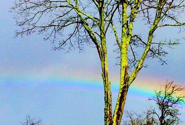 arc en ciel