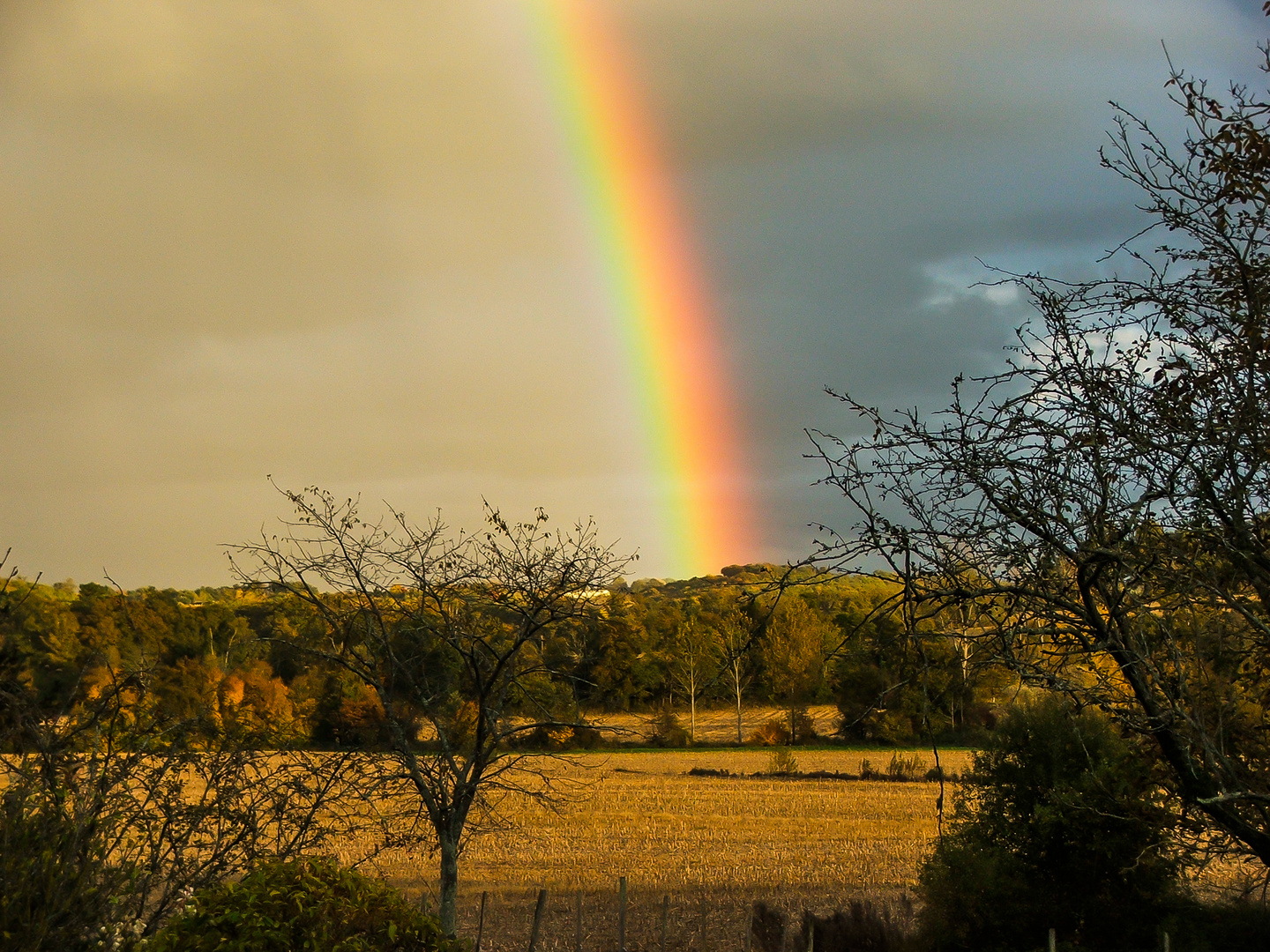 Arc en ciel