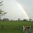 arc en ciel en normandie