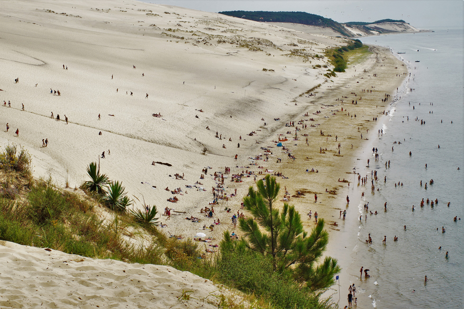 Arcachon Düne von Pyla, Strand