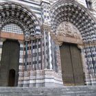 Arcate di cattedrale