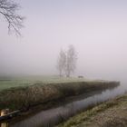 Arcen im Nebel