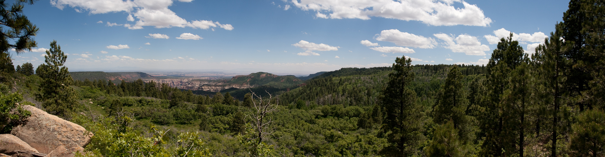 Arch Canyon Overlook