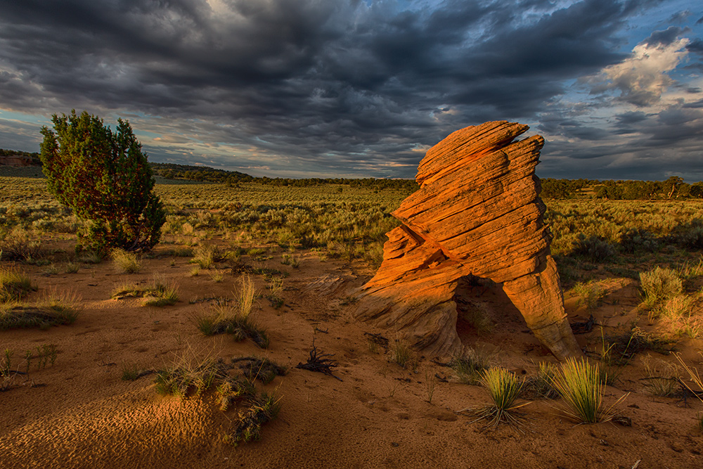 Arch in den Vermillion Cliffs