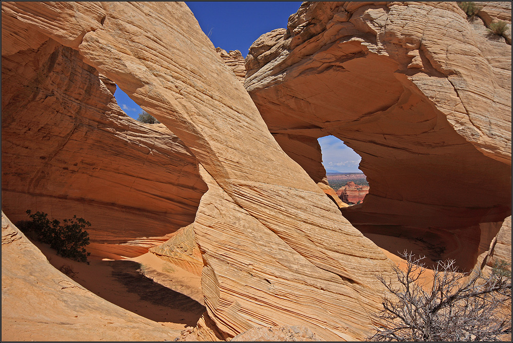 Arch 'n' Window