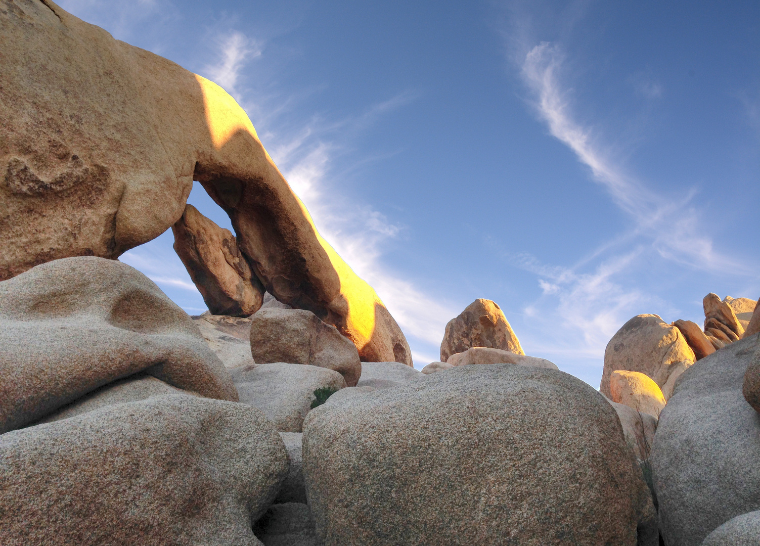 Arch Rock