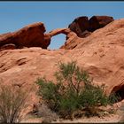 Arch Rock