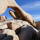 Arch Rock im Joshua Tree NP