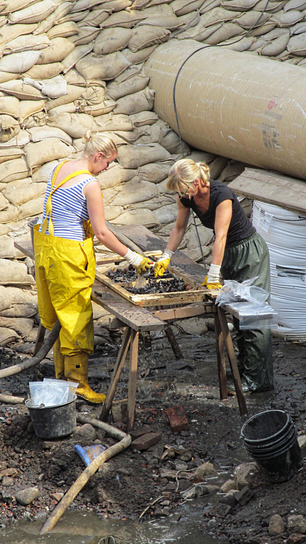 Archaeologie in Stade