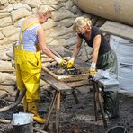 Archaeologie in Stade