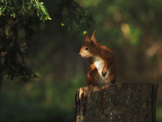 Archäologisch relevante Funde