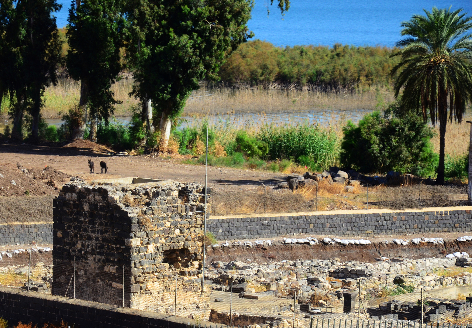 archäologische Ausgrabungsstätte des migdal eda, eines Turmes in Magdala am See Genezareth