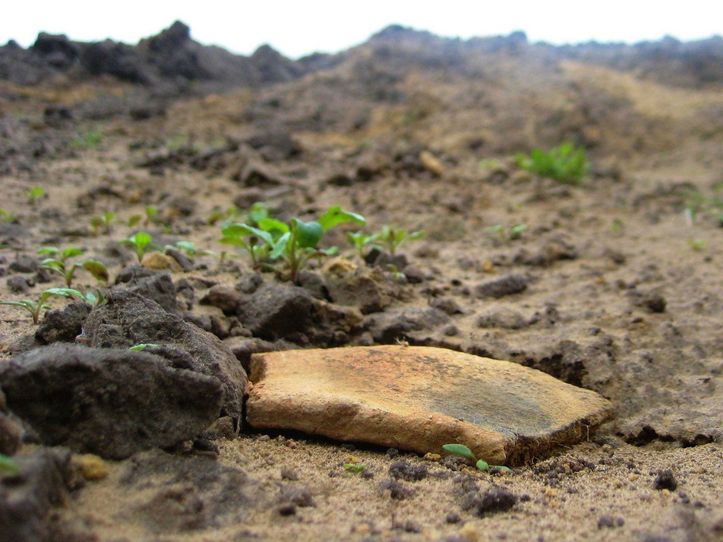 Archäologischer Fund:Keramikscherbe aus der vorrömischen Eisenzeit