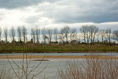 Archäologischer Park Xanten vor dem Frühlingserwachen