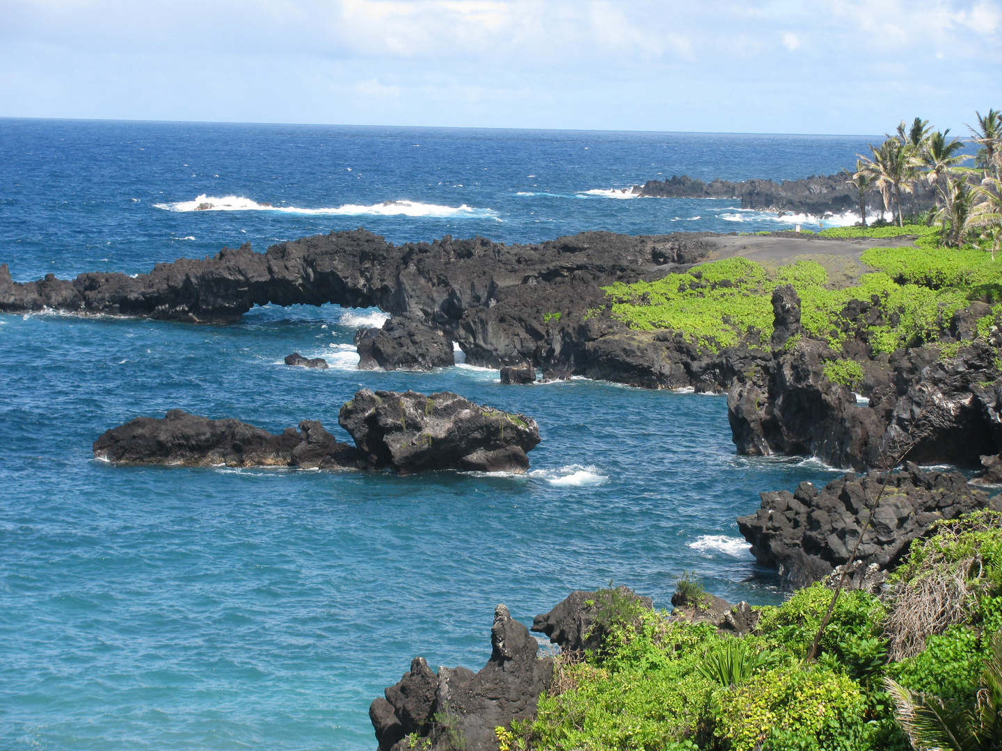 Arche am Black Beach Maui/ Hawaii 2009