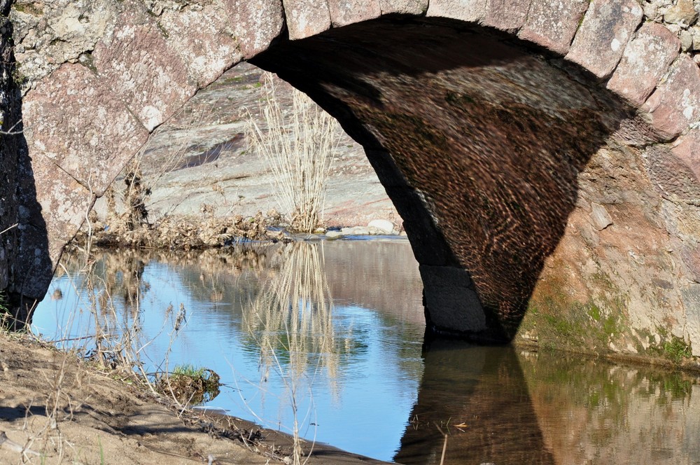 Arche en reflexion