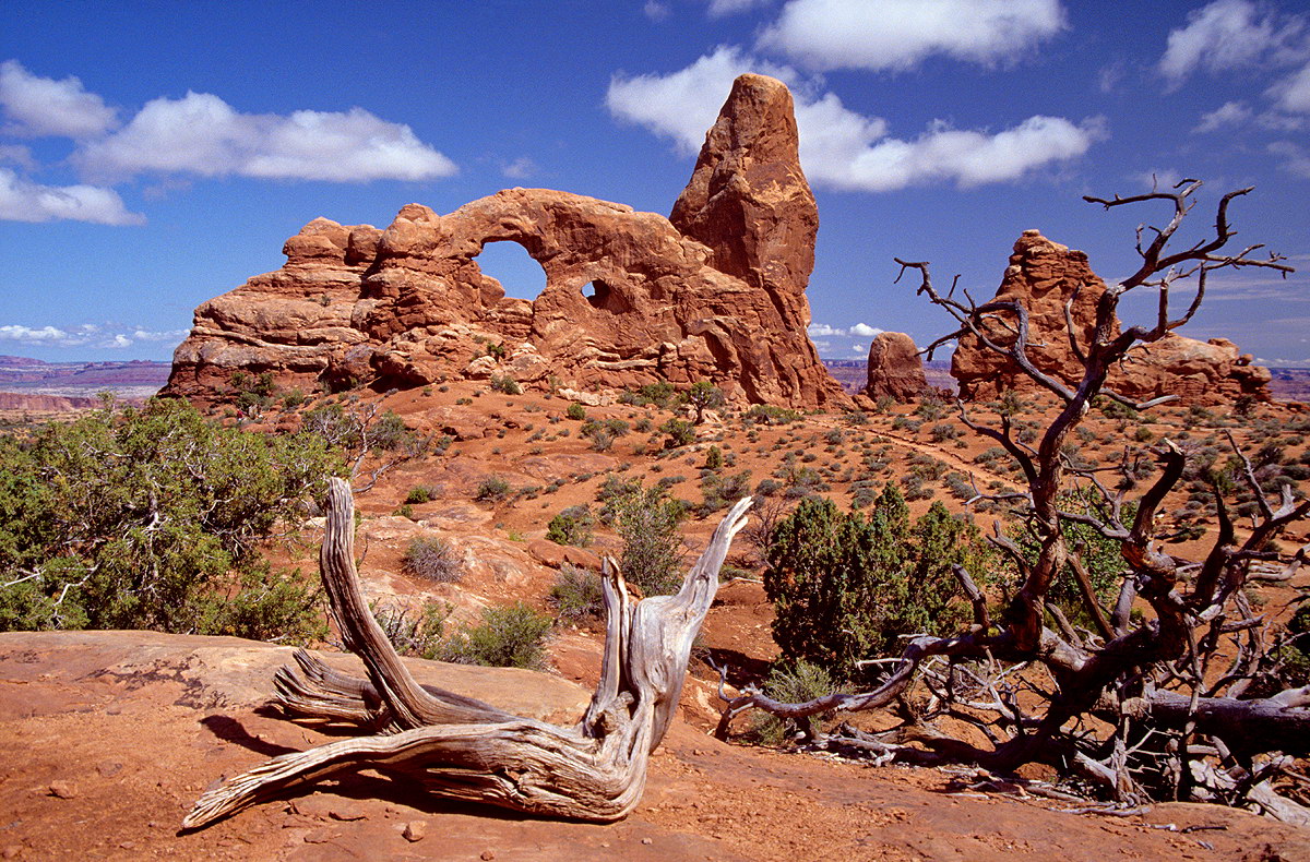 Arche Nationalpark