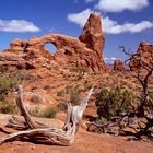 Arche Nationalpark