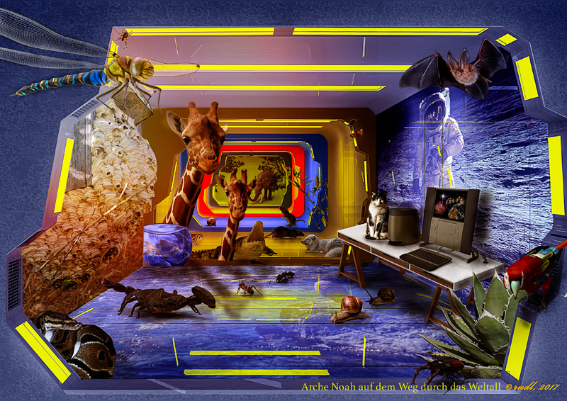Arche Noah im Weltall