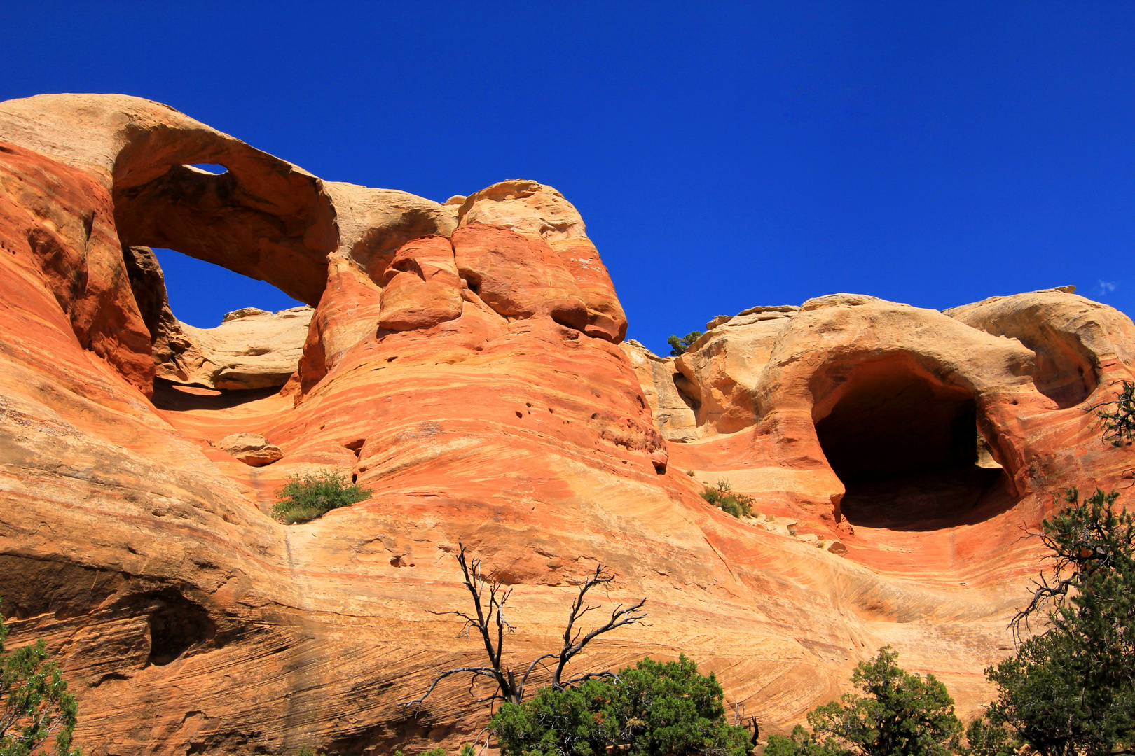 ..Arches im Rattlesnake Canyon