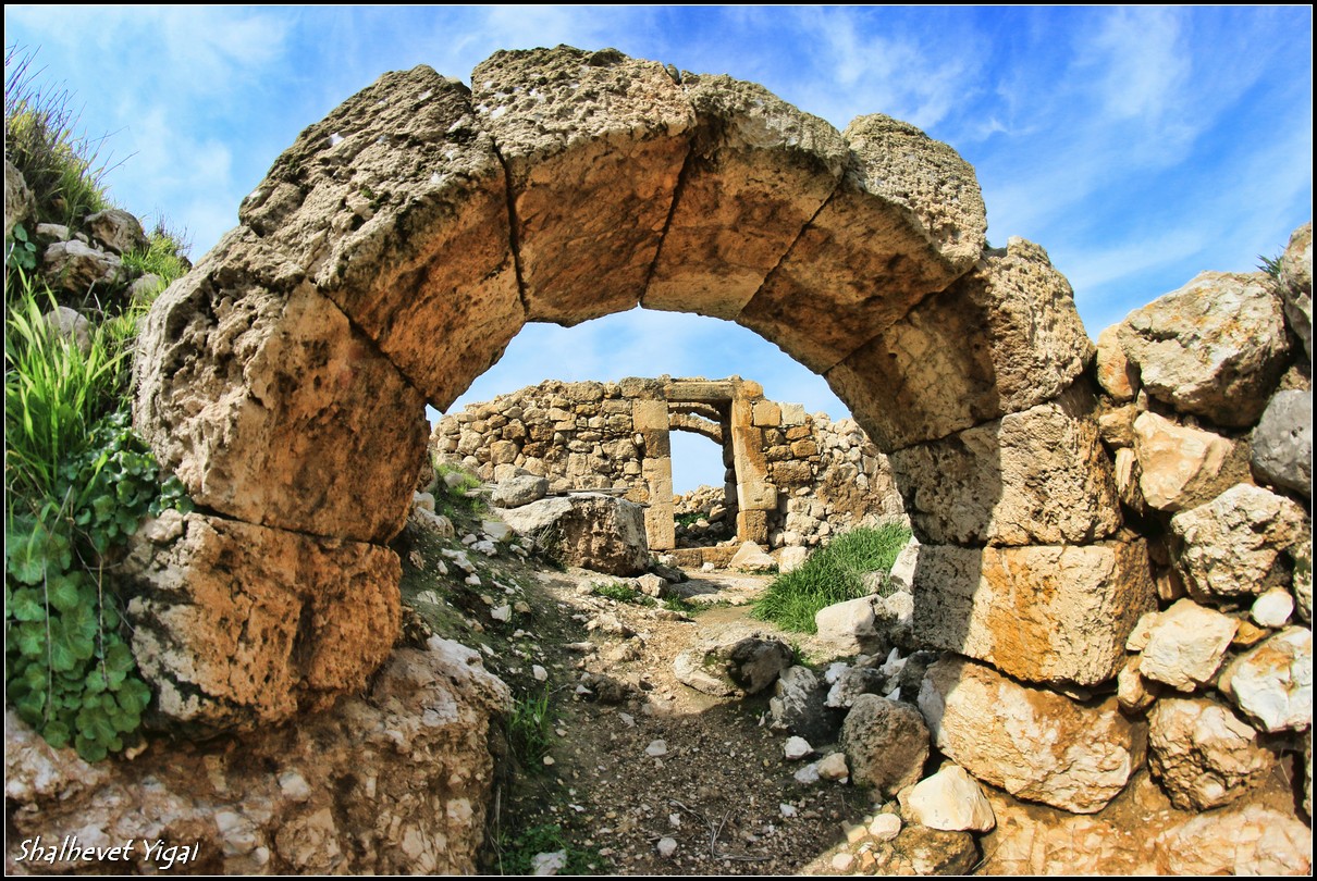 Arches in Zaak