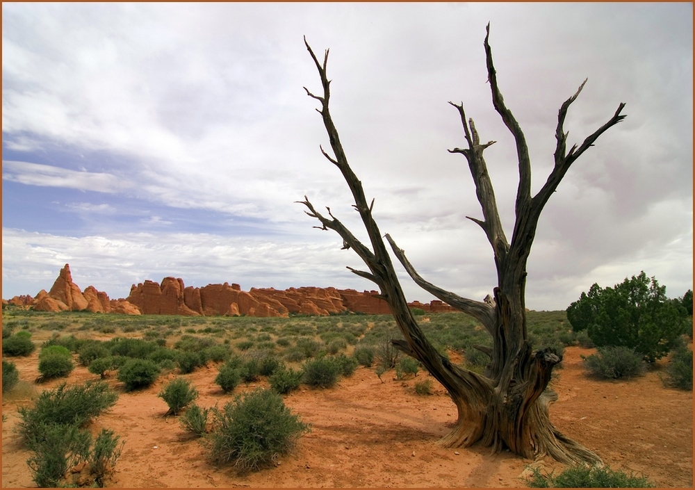 Arches national  landscape