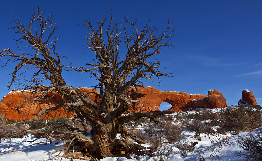 Arches National Park