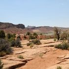 Arches National Park 21