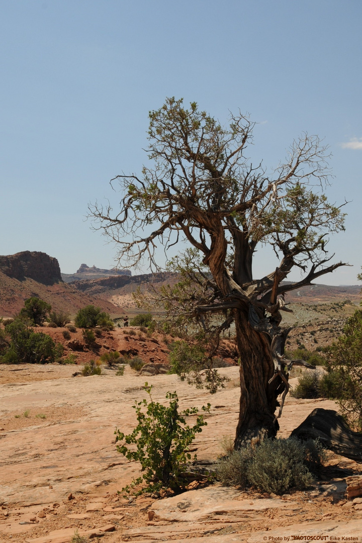 Arches National Park 22