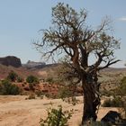 Arches National Park 22