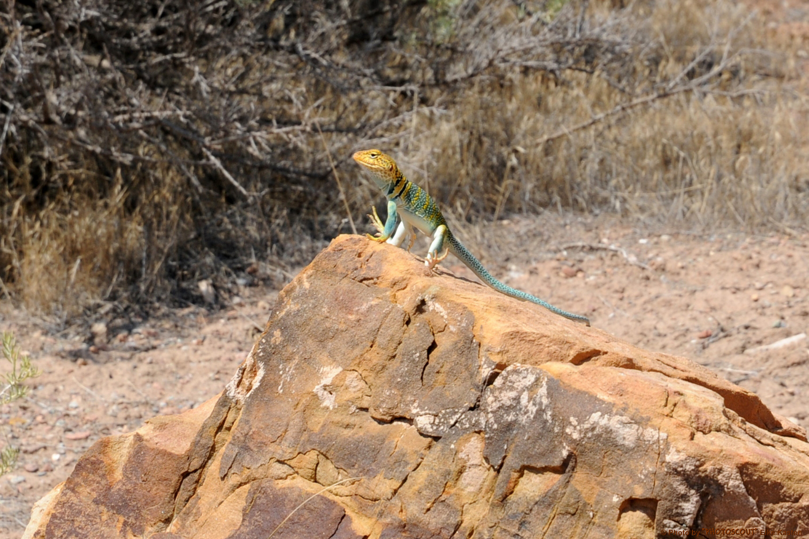 Arches National Park 23