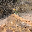 Arches National Park 23