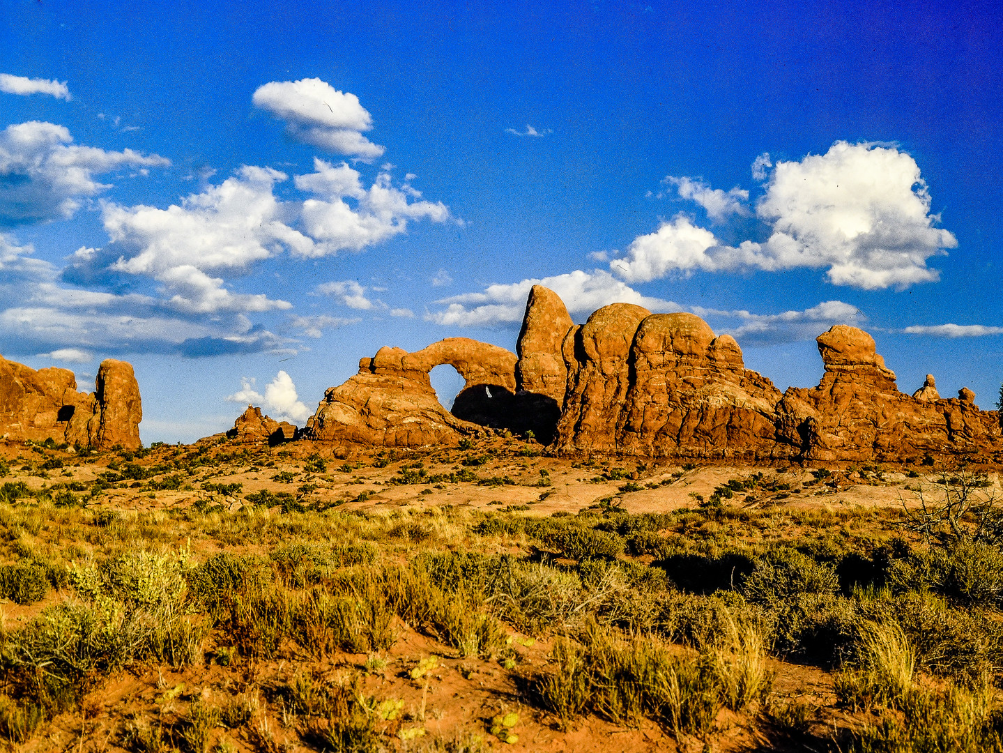 Arches National Park