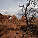 Arches National Park