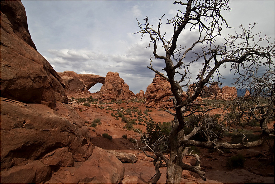 Arches National Park