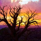 Arches National Park