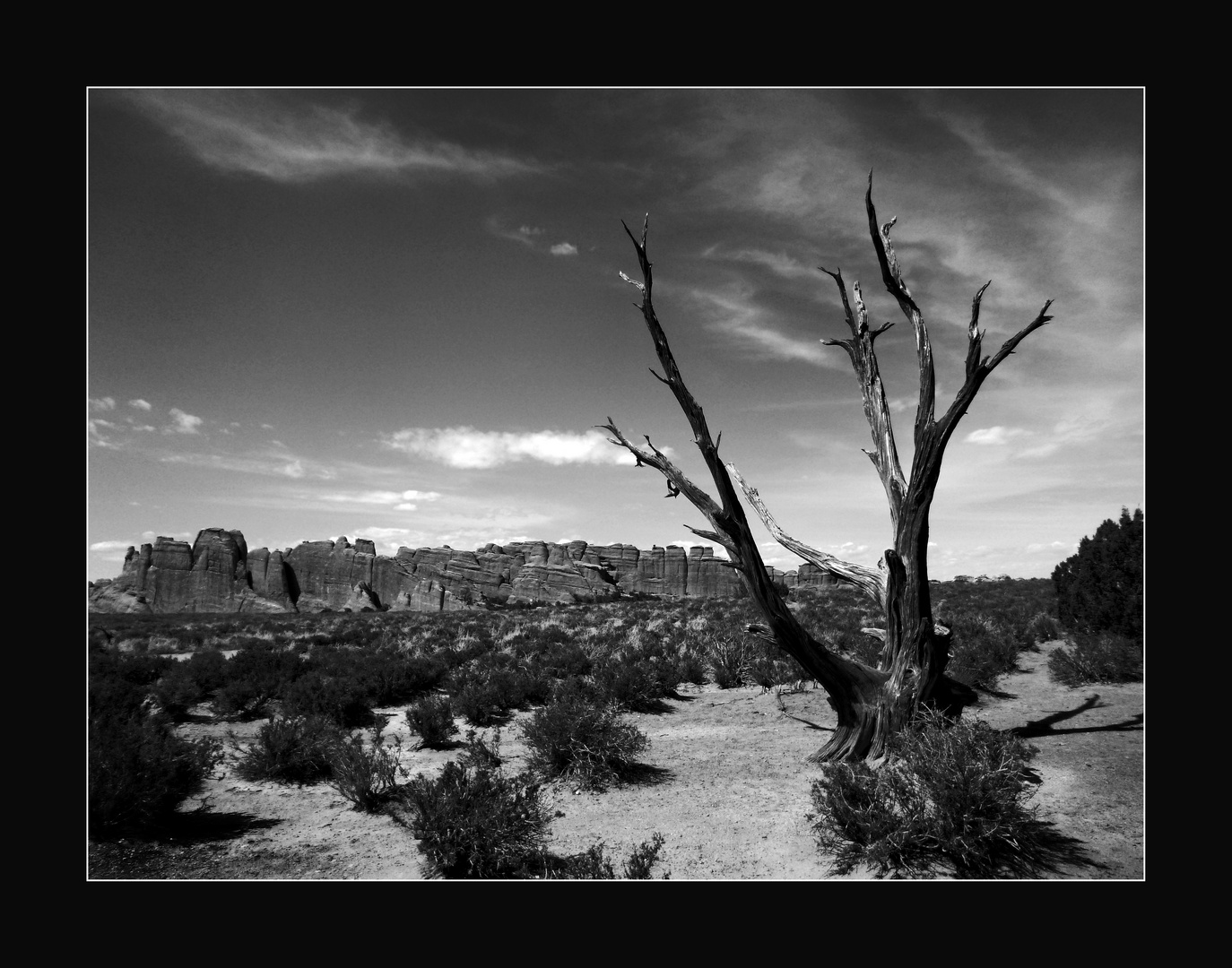 Arches National Park