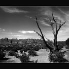 Arches National Park