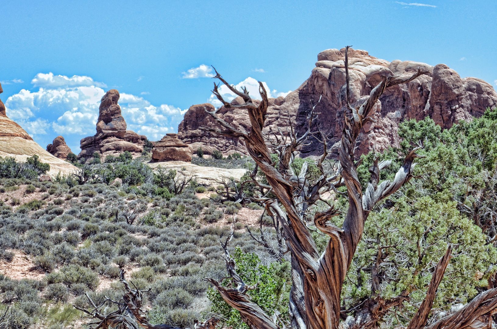 Arches National Park