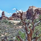 Arches National Park