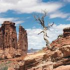 Arches National Park