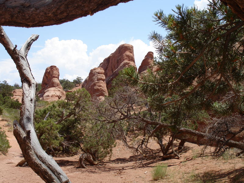 arches national park, utah