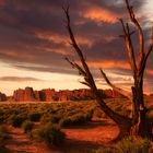 Arches Nationalpark 